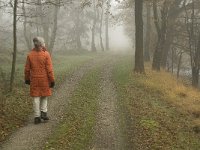 NL, Limburg, Horst aan de Maas, Mariapeel 16, Saxifraga-Jan van der Straaten